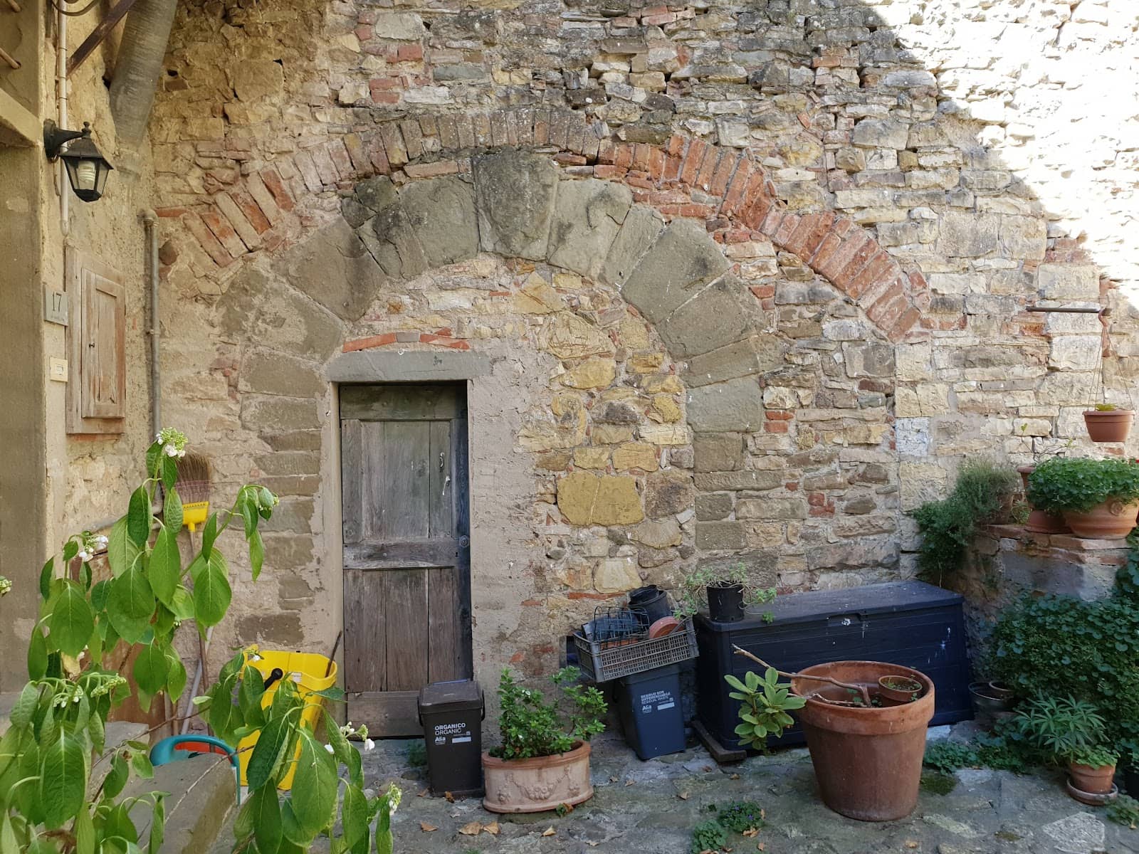 Chianti Wine Tasting