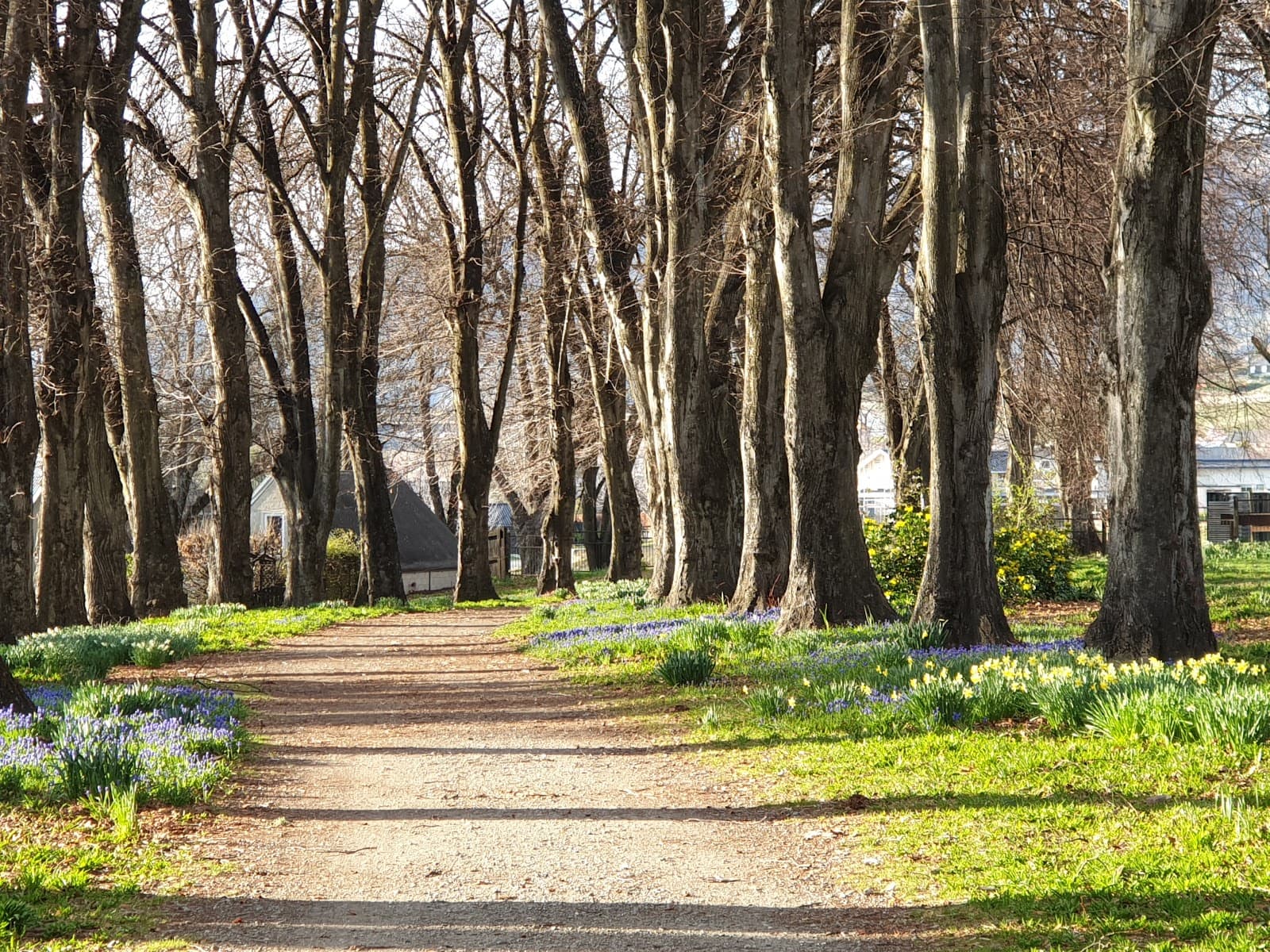 Wanaka Station Park - Image 1