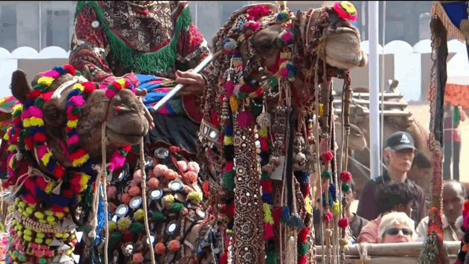 Pushkar Camel Fair - Image 1