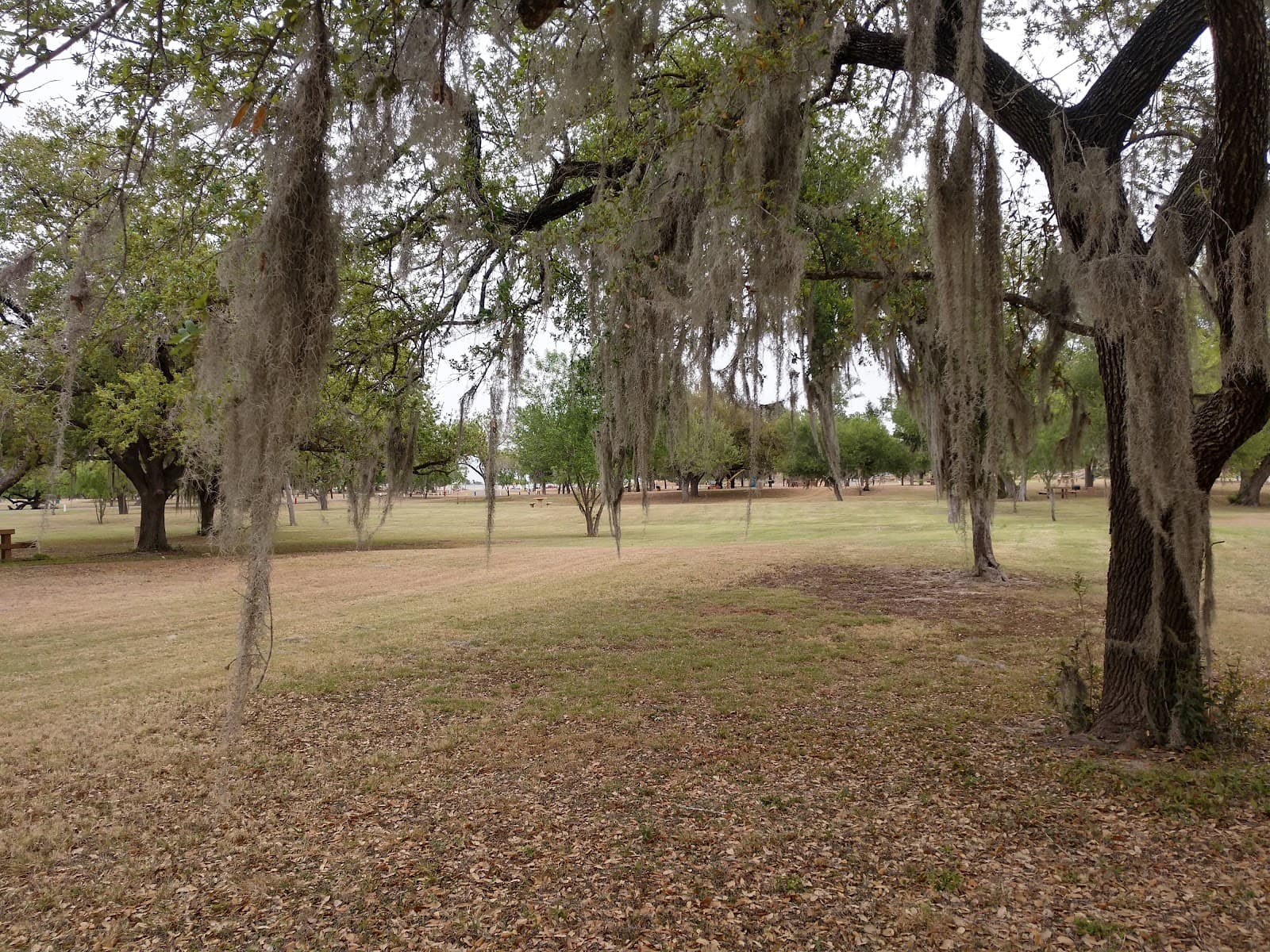 Anzalduas Park - Image 1