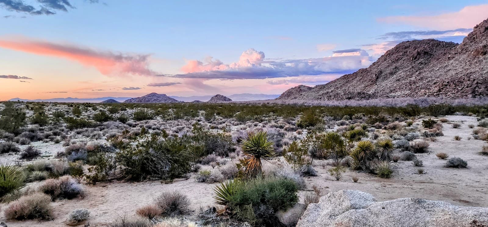 Willow Hole - Image 1