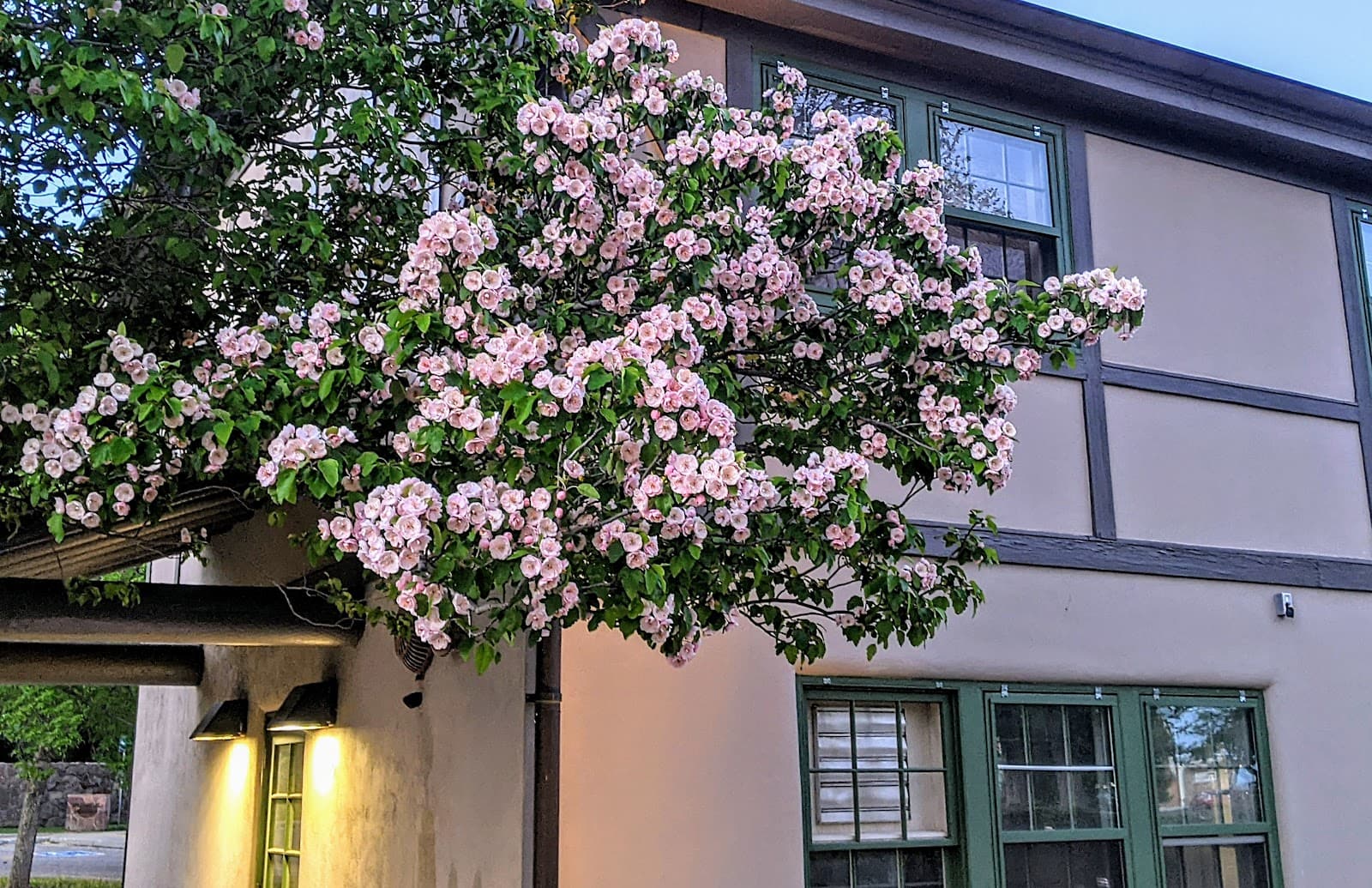 Bathtub Row - Image 1