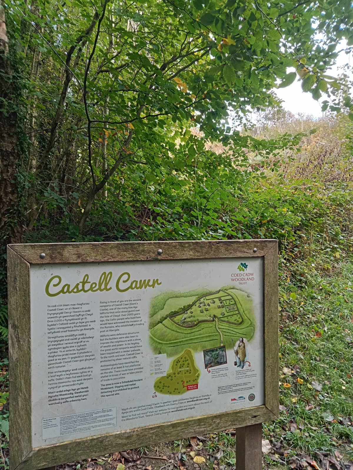 Ancient Woodlands Walk