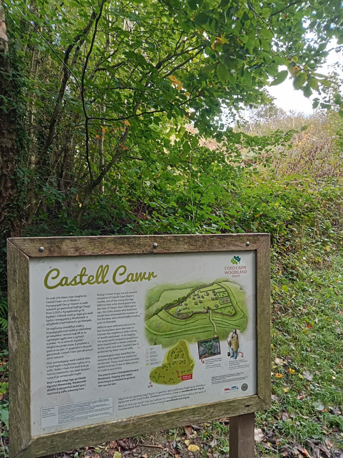 Castell Cawr Hillfort - Image 1