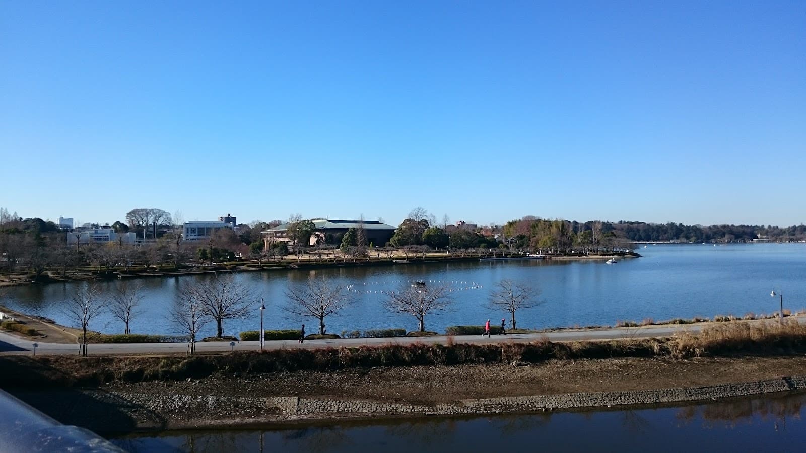 Lake Senba Park - Image 1