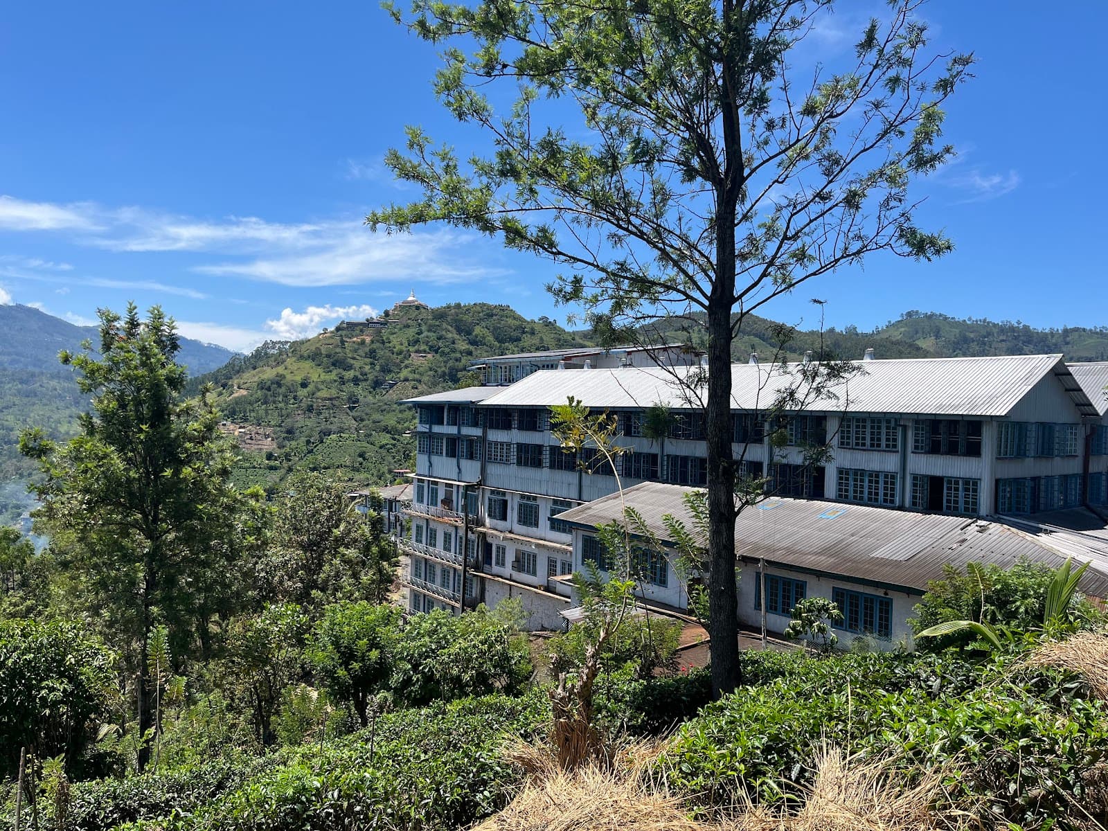 Halpewatte Tea Factory - Image 1