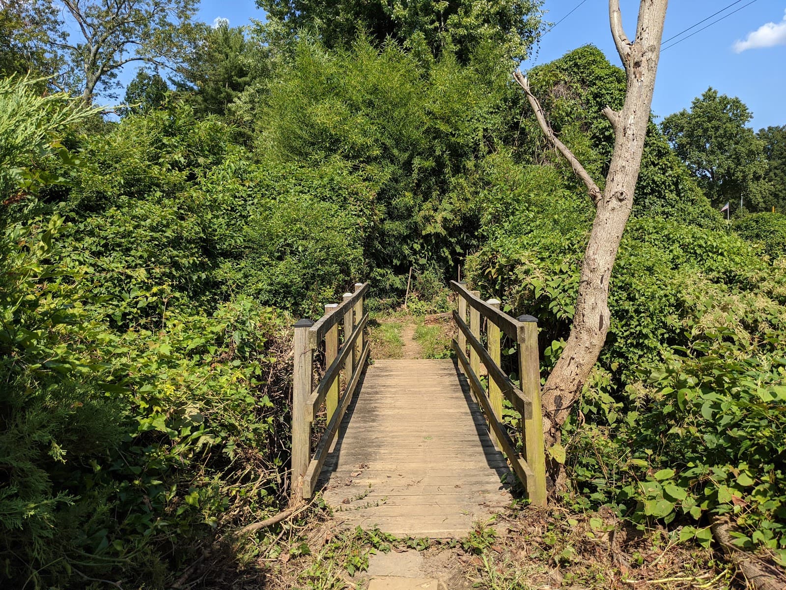 Little Pimmit Run Stream Valley Park - Image 1