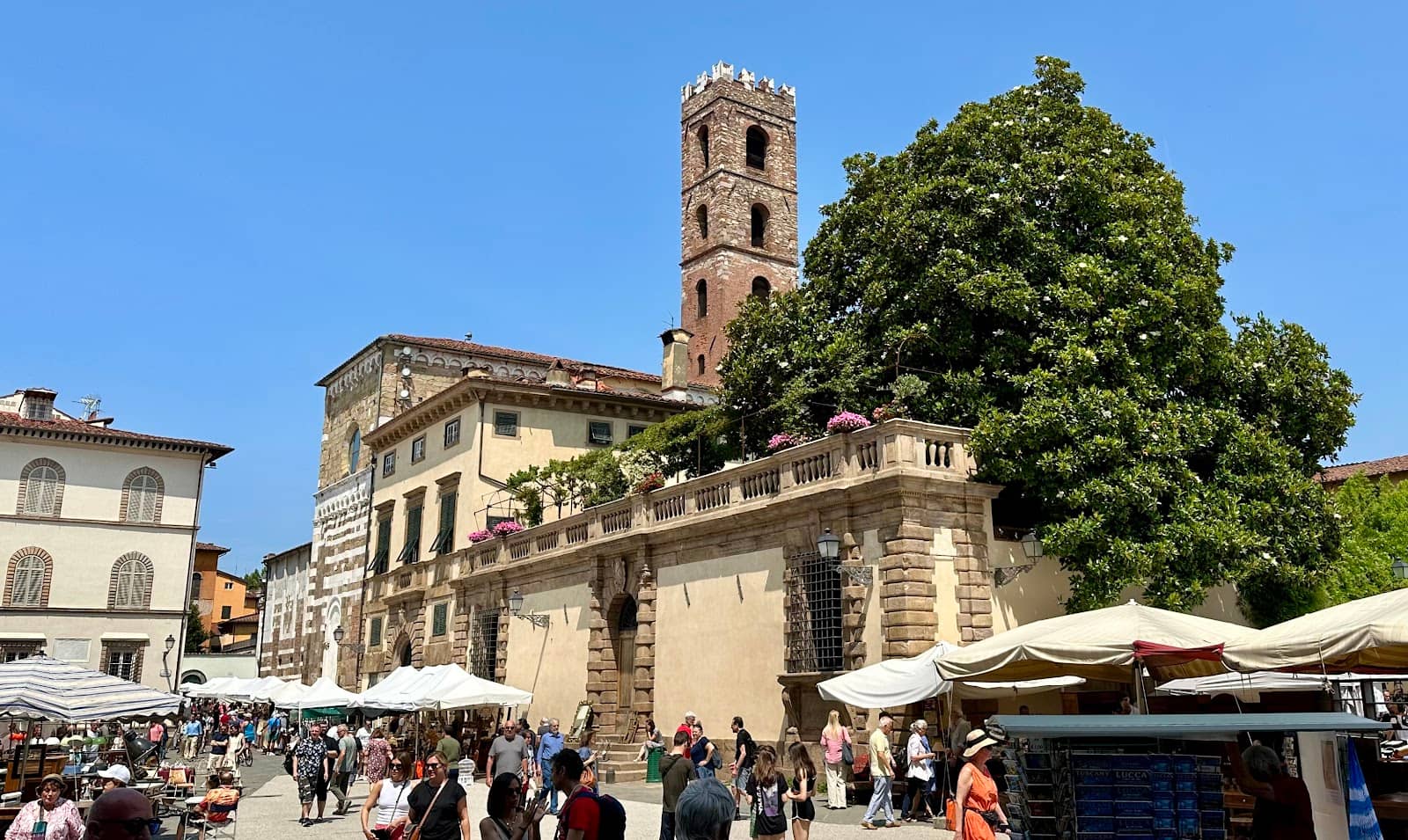 Vertical photo