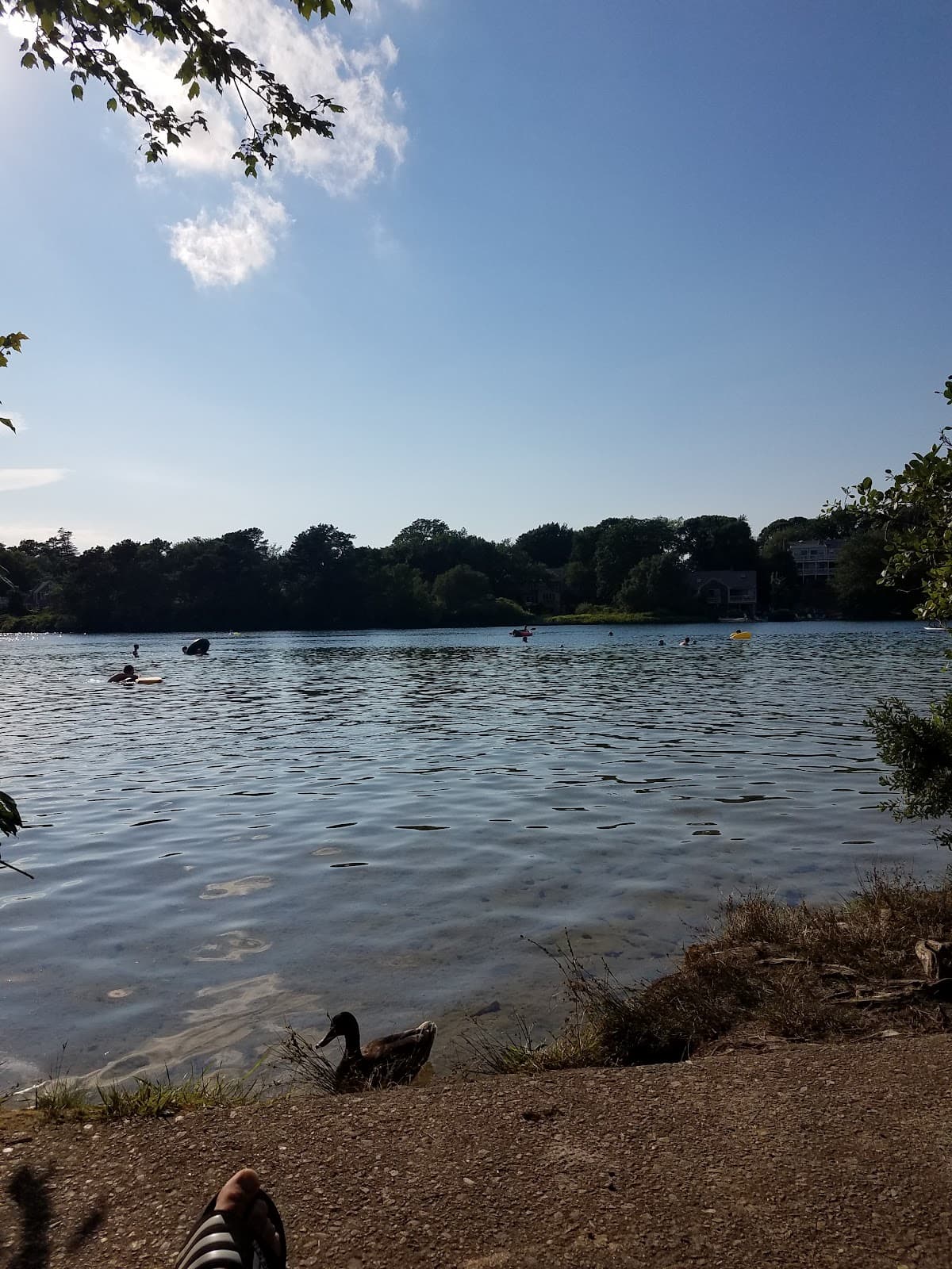 Scargo Lake - Image 1