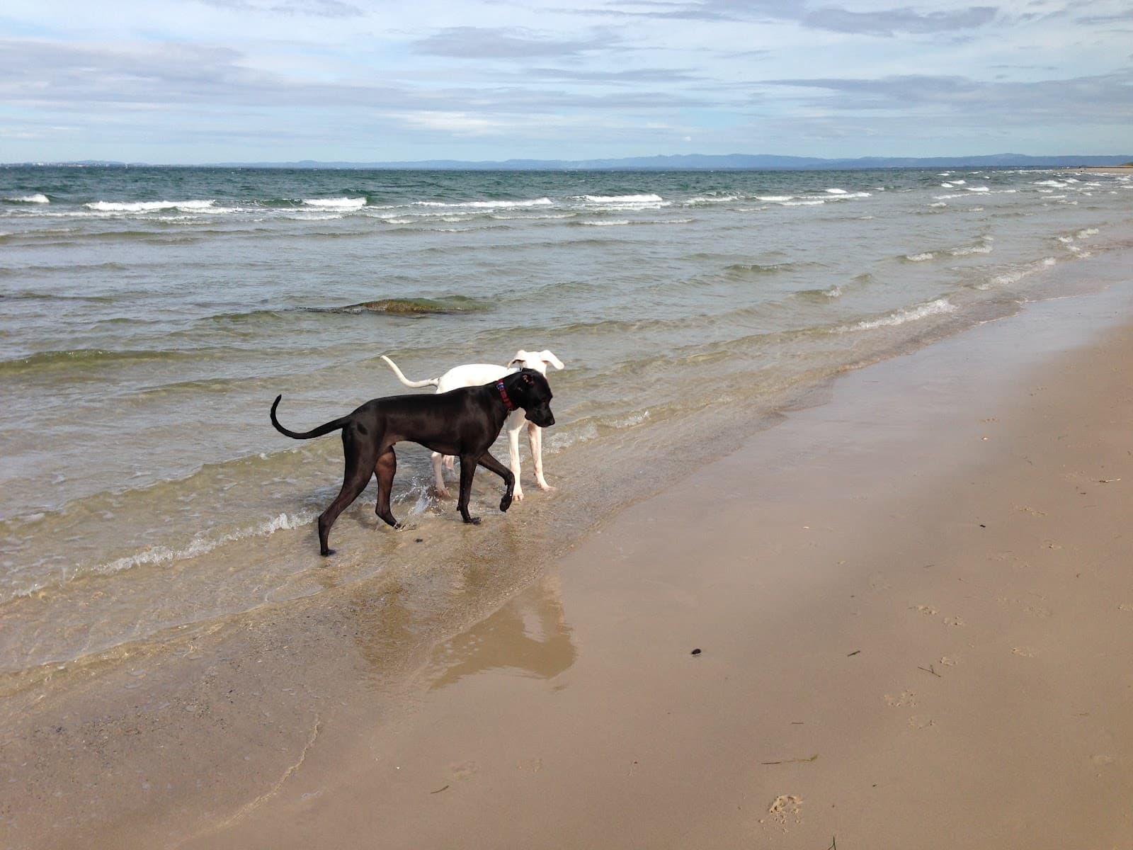 Red Beach Bribie Island - Image 1