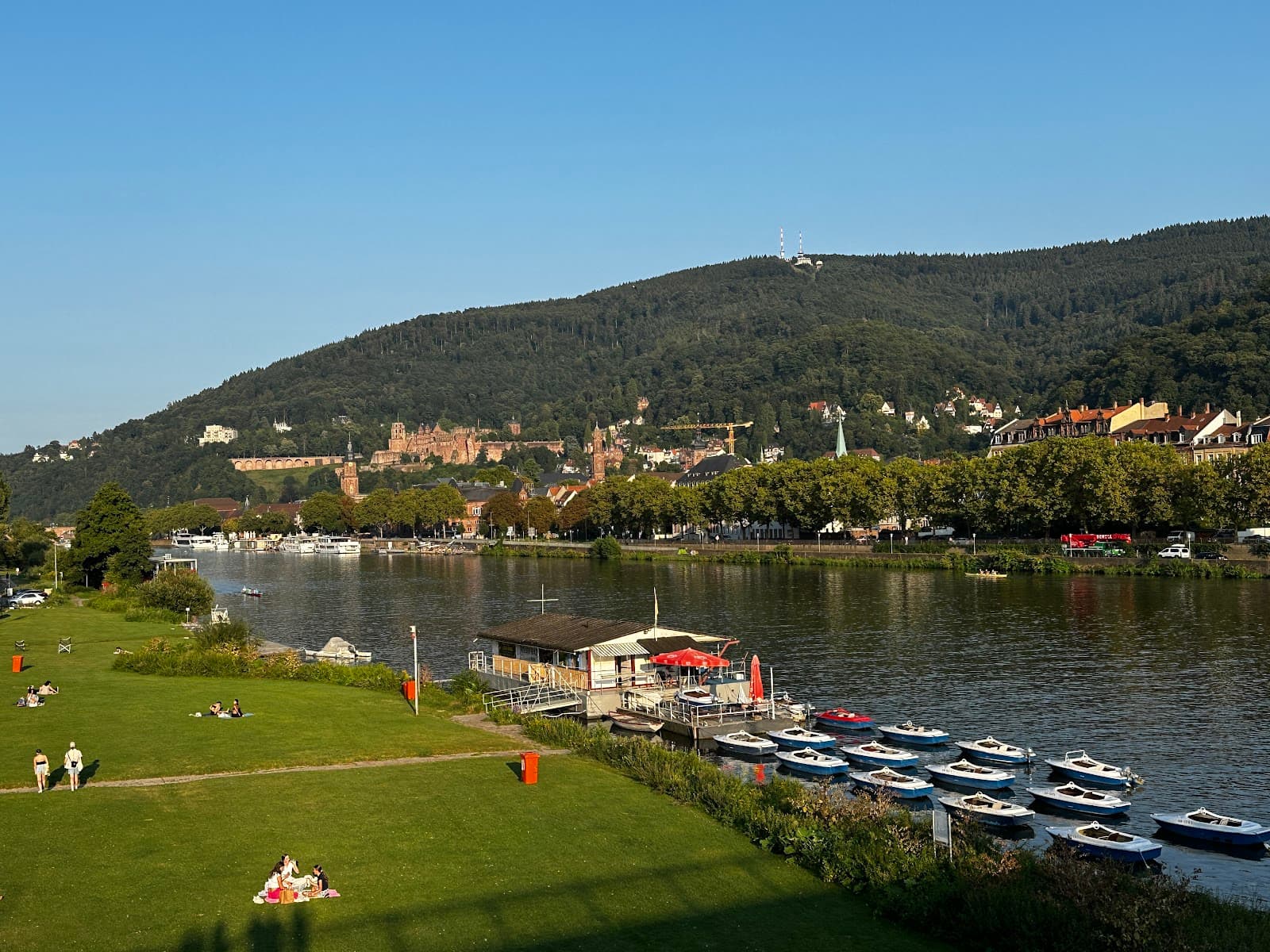 Neckarwiese Heidelberg - Image 1