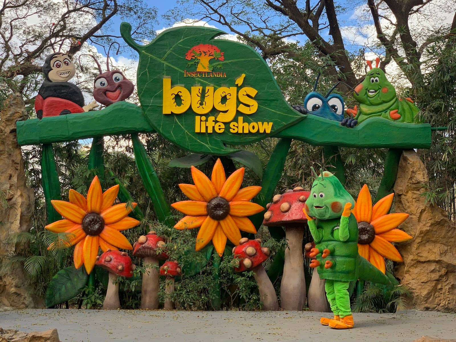 Interactive Insect Shows