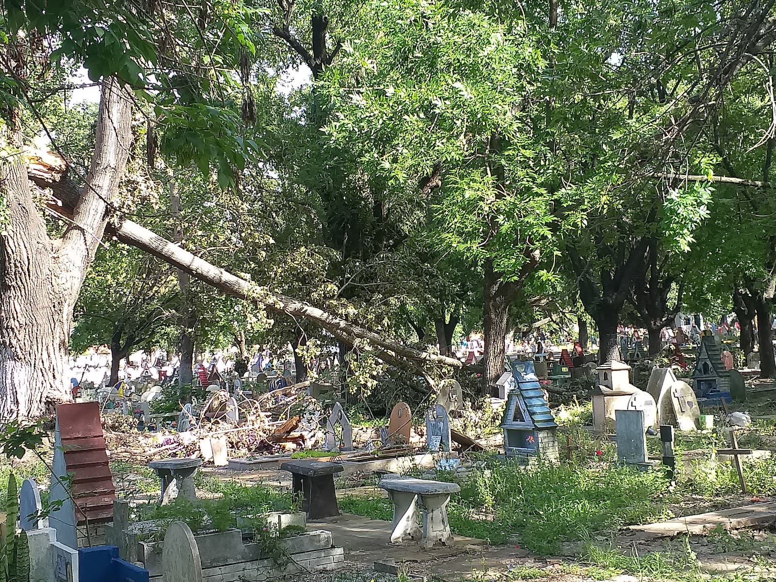 Cementerio Municipal de Lanús - Image 1