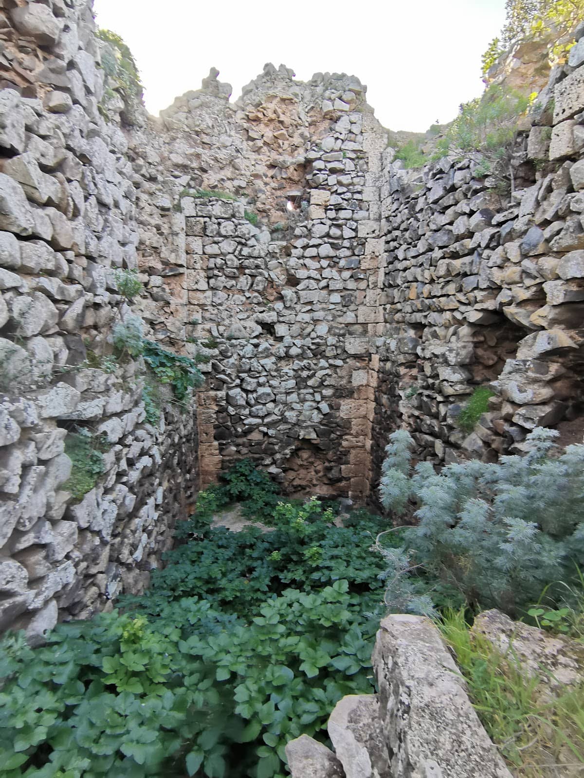 Mediterranean Scrub Trail