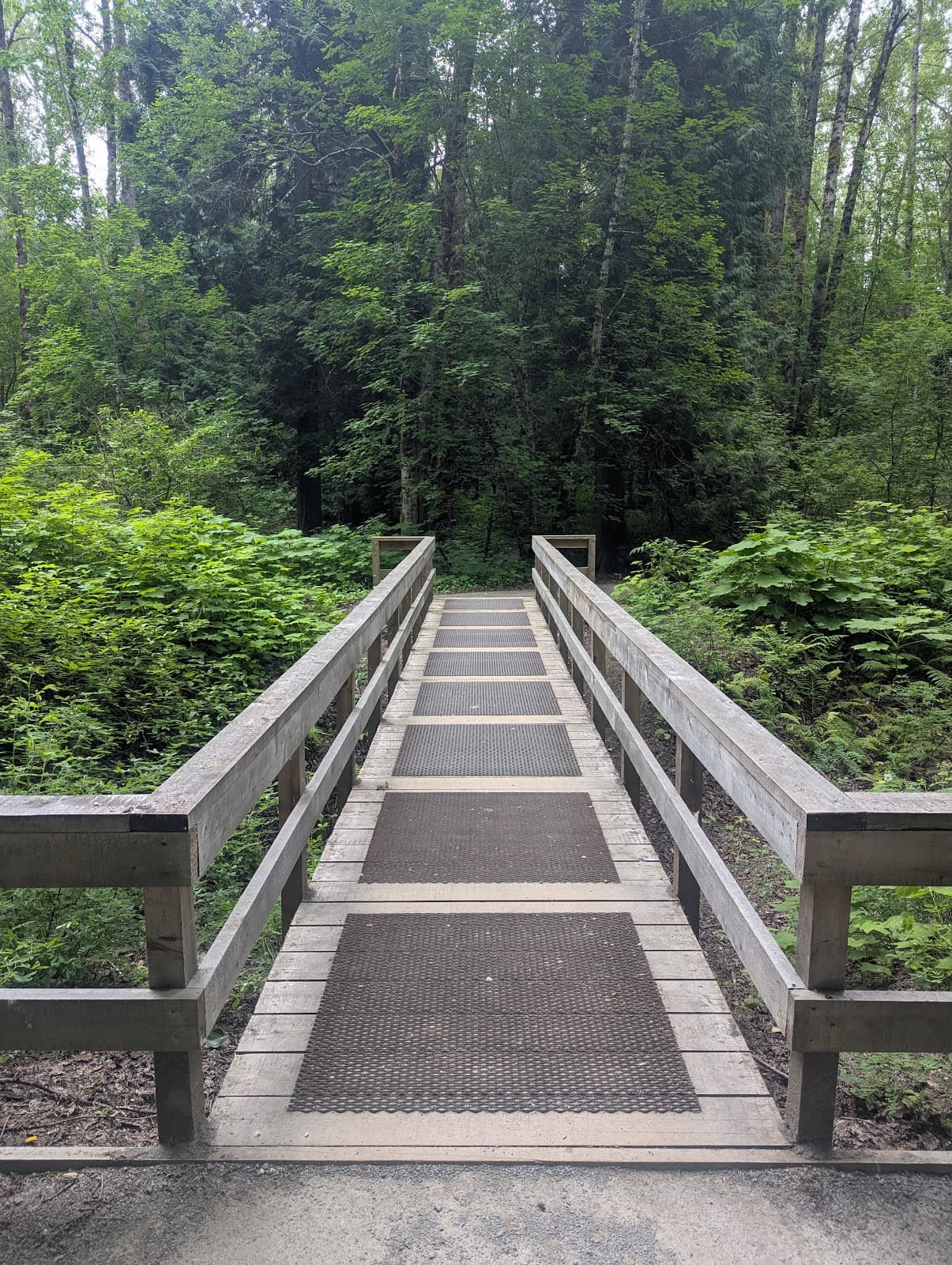 Ferry Island (Terrace) - Image 1
