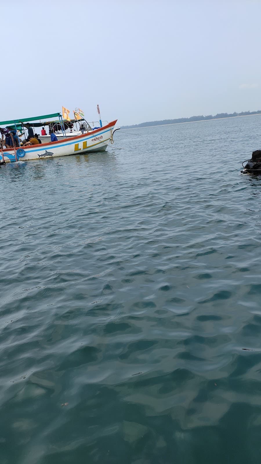Kolamb Creek Estuary Viewpoint - Image 1