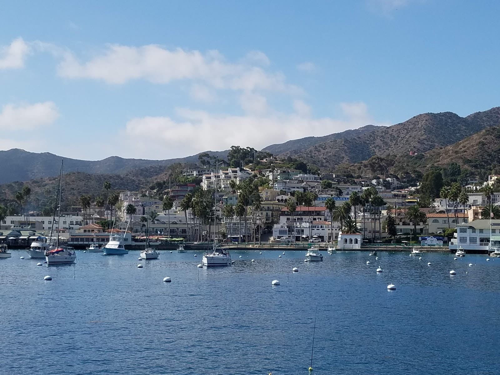 Avalon Harbor - Image 1