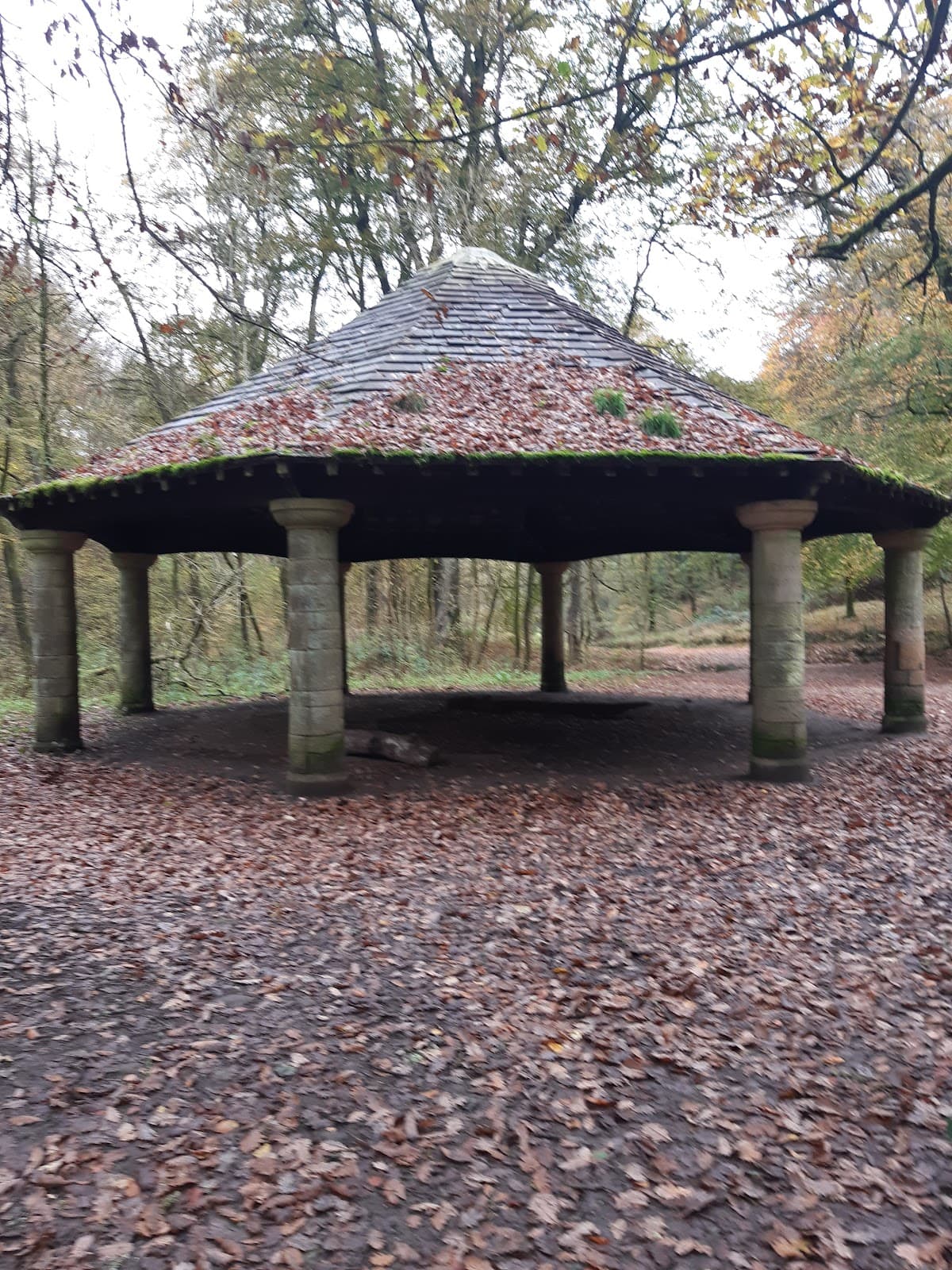 Sunnyhurst Woods - Image 1