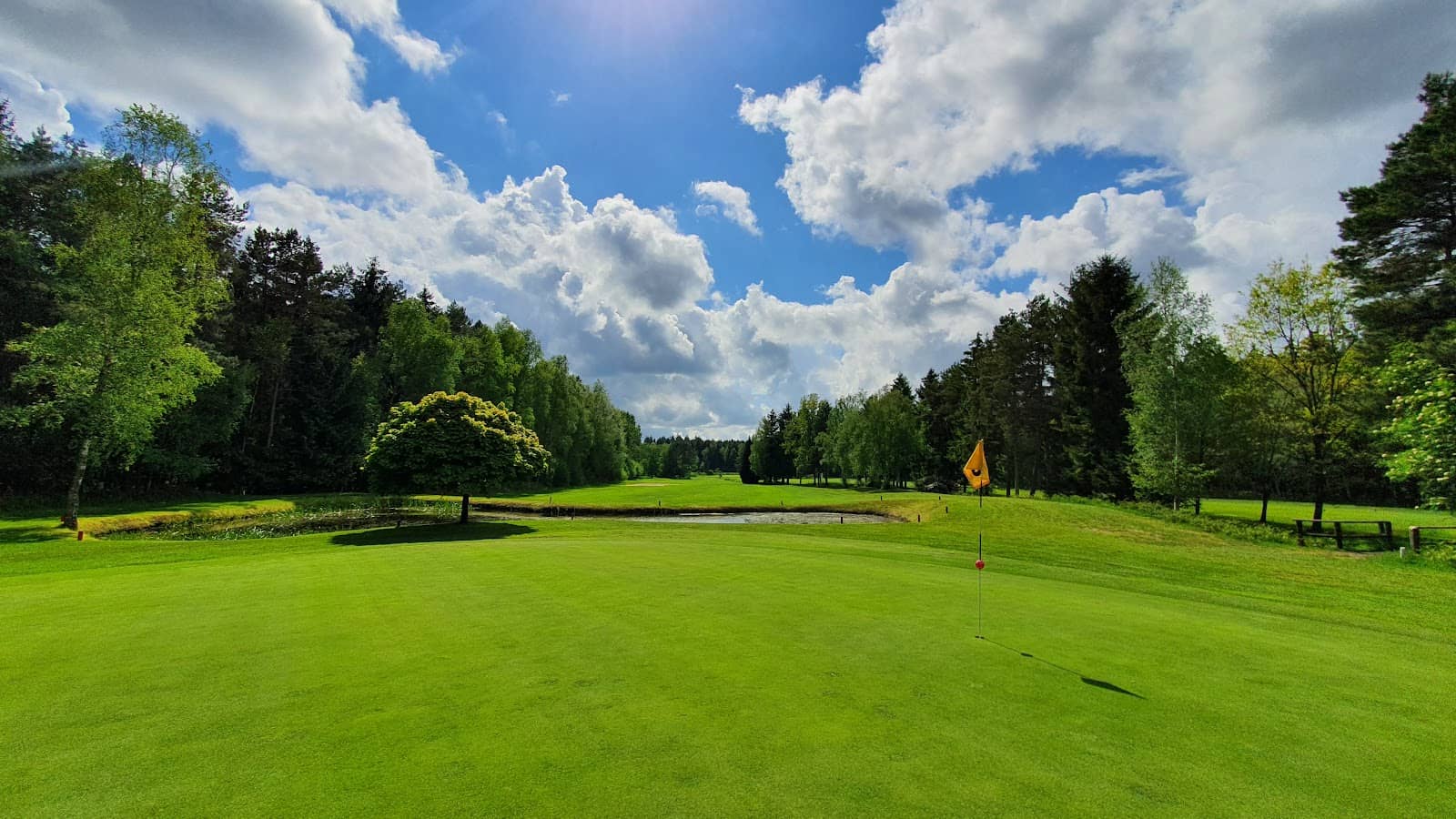 Family-Friendly Atmosphere