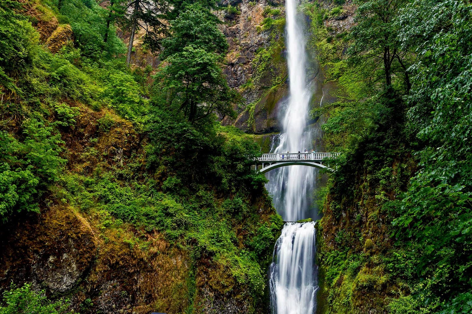 Multnomah Falls - Image 1