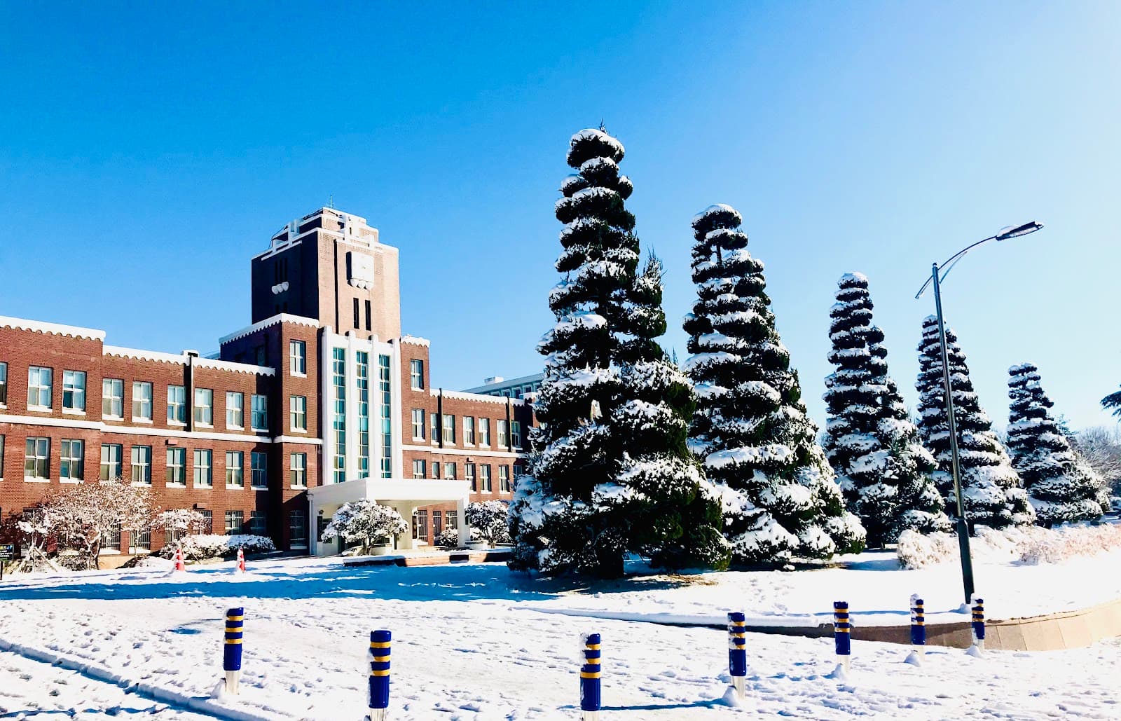 Chonnam National University Gingko Road - Image 1