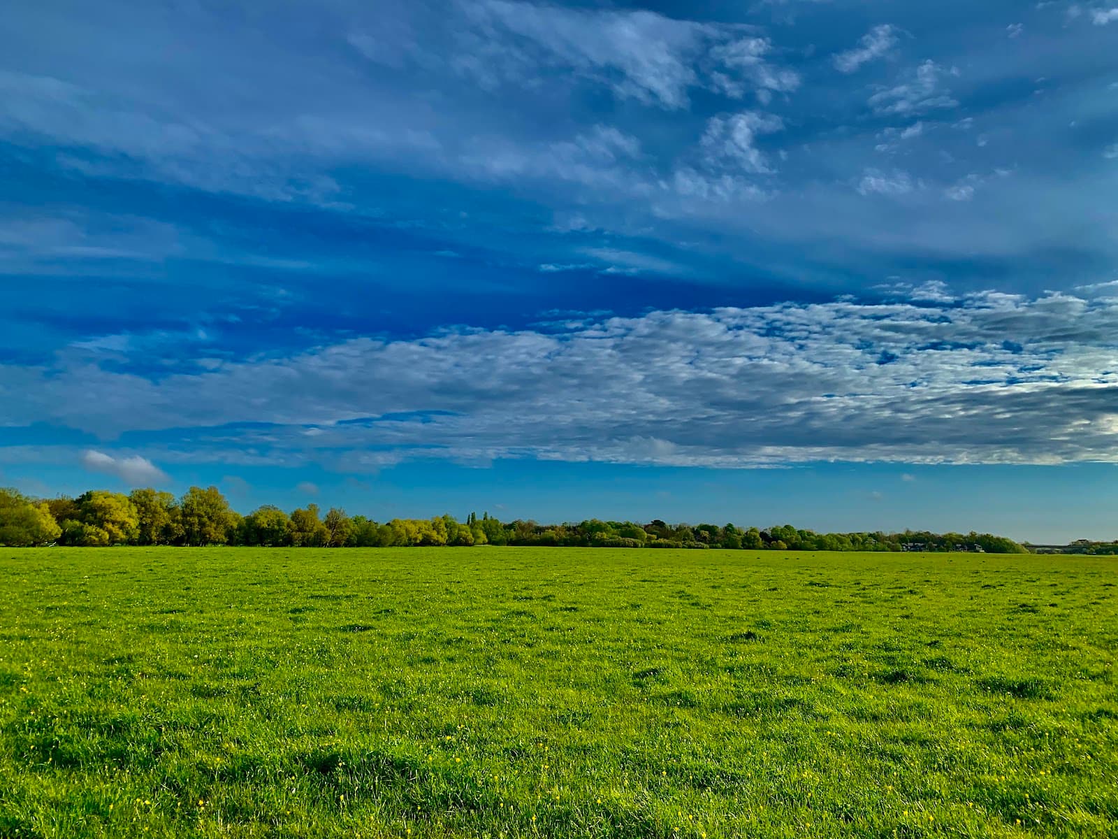 Portholme Meadow - Image 1