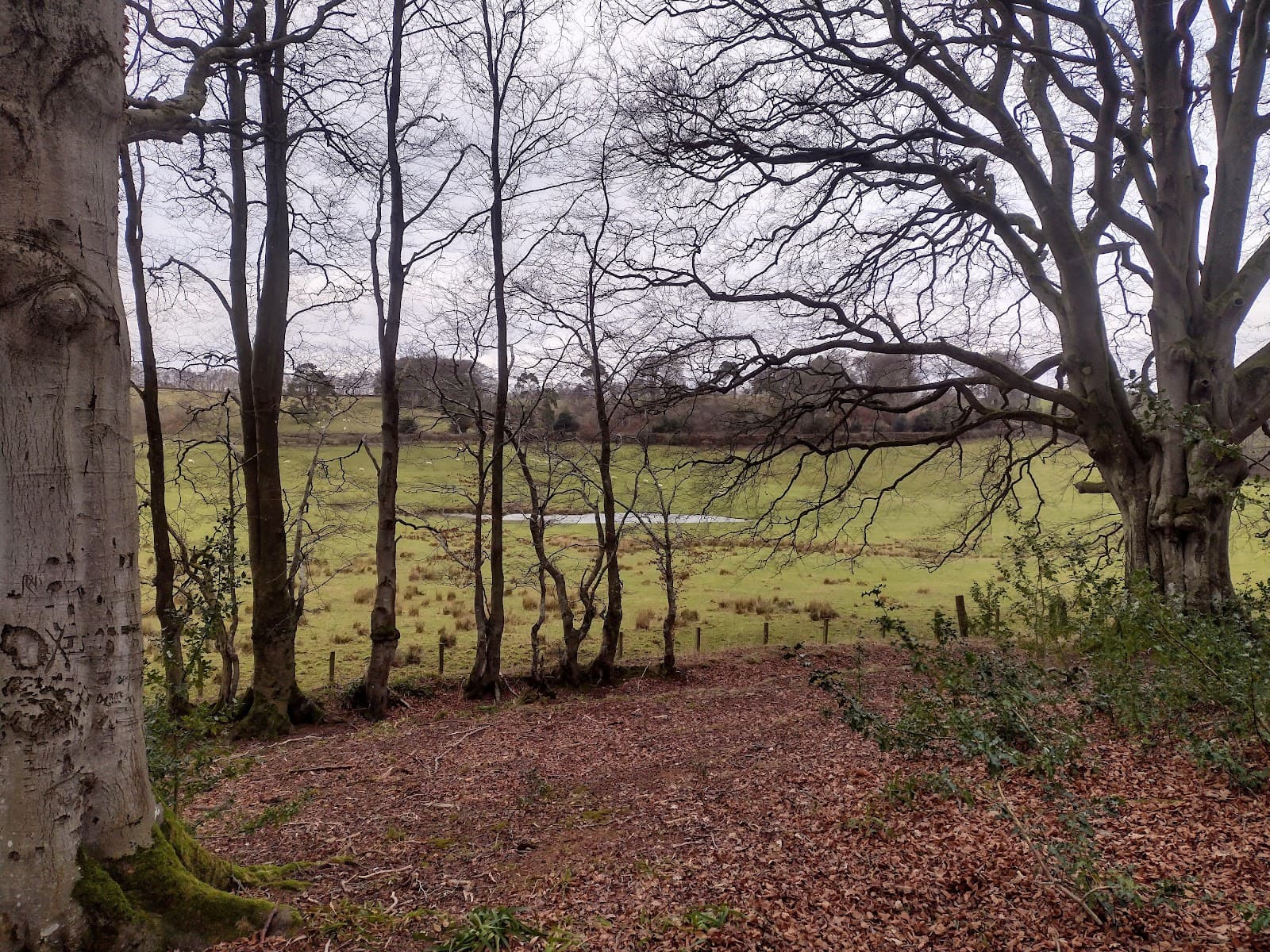 Mouse Water Viaduct - Image 1