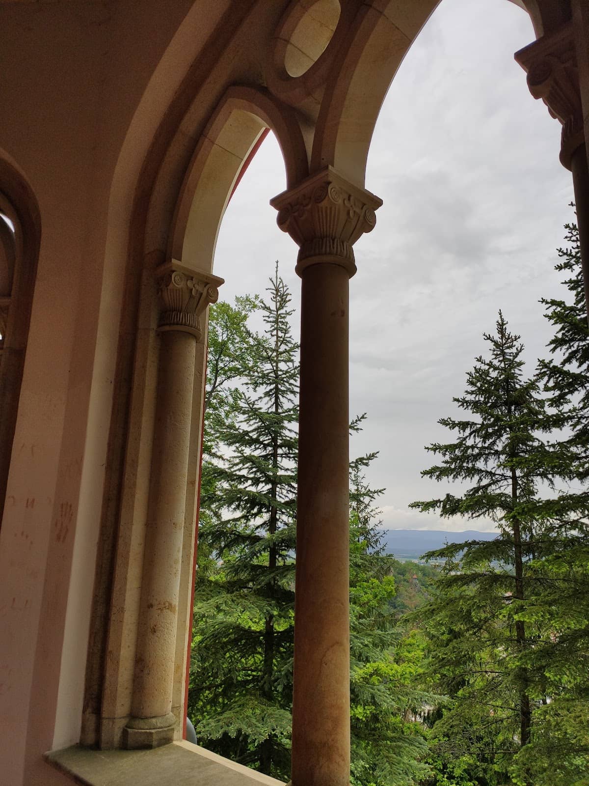 Vertical photo