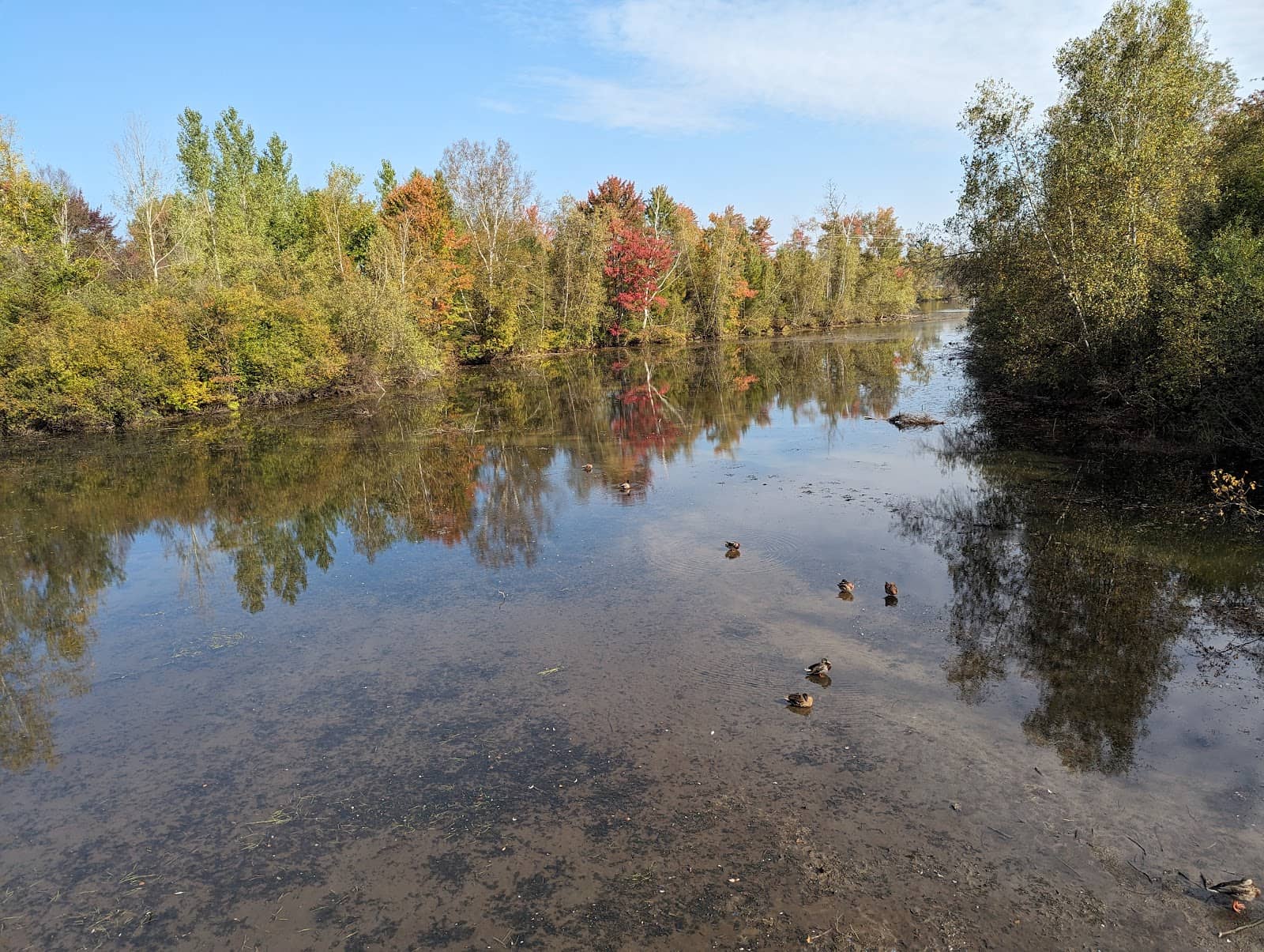Scenic Roadside Path