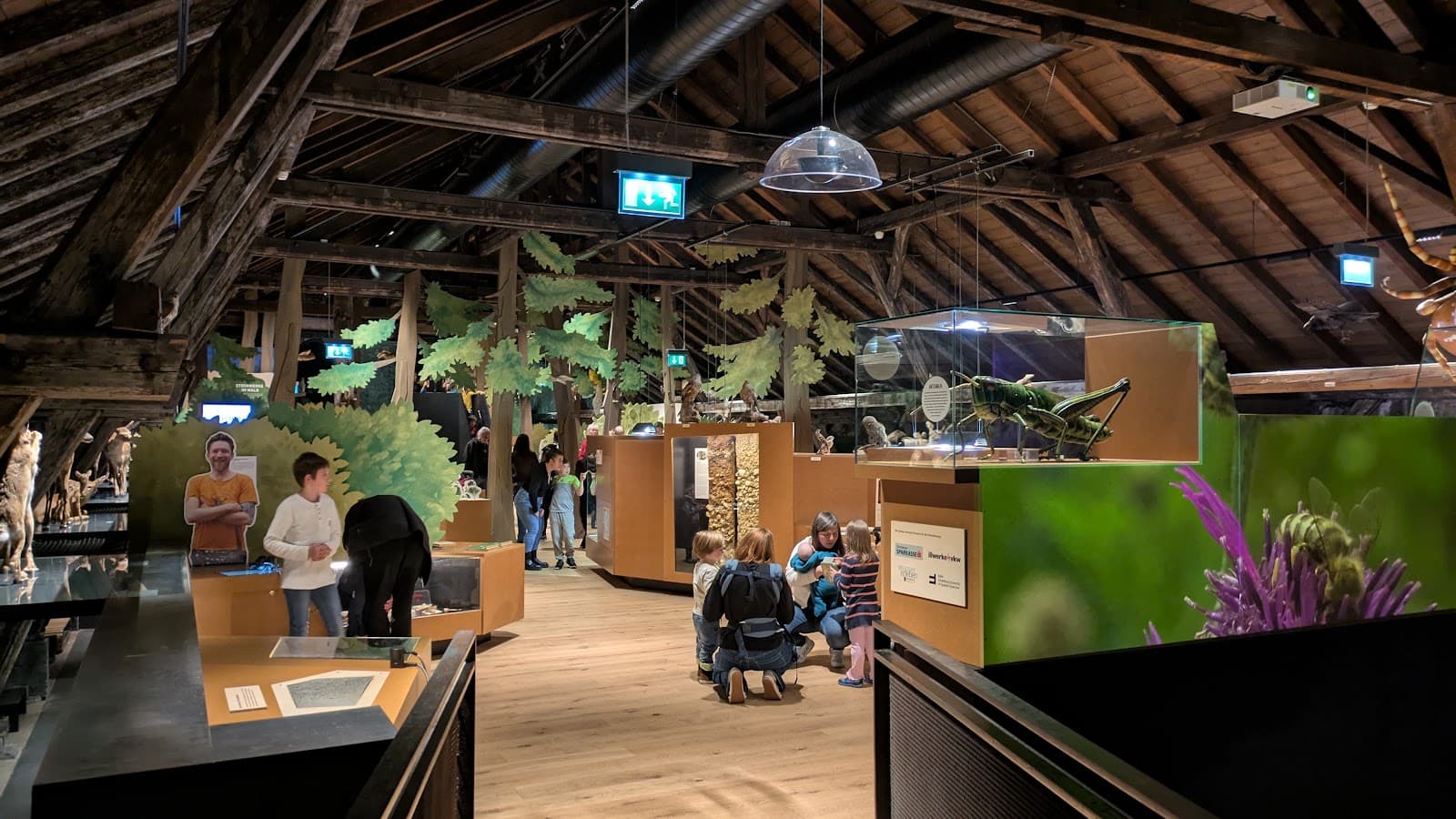 inatura Dornbirn - Image 1