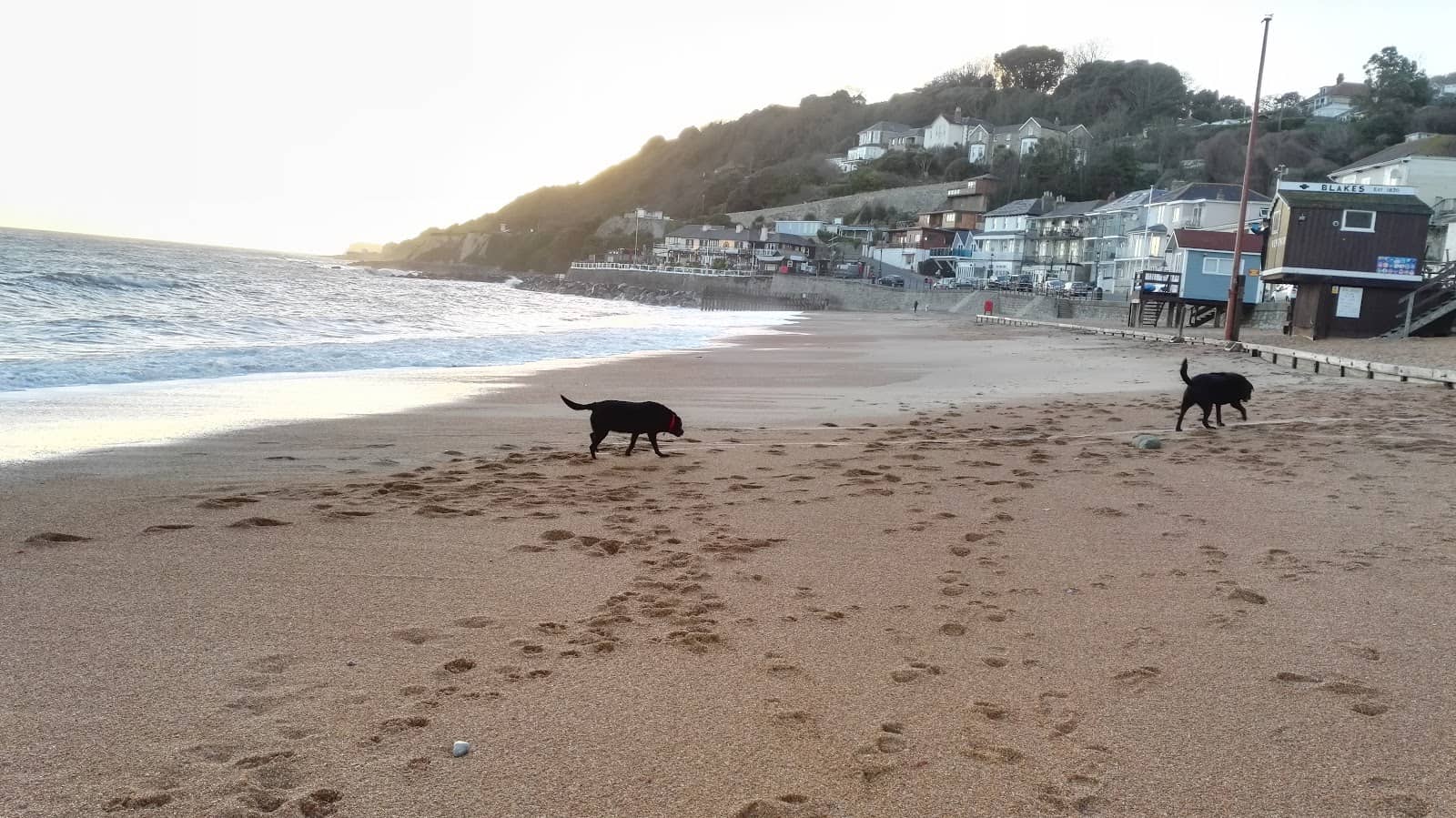 Coastal Path Views