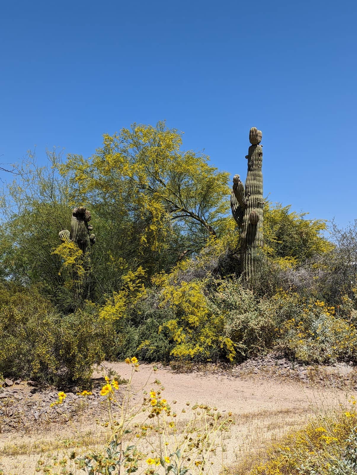 Vertical photo