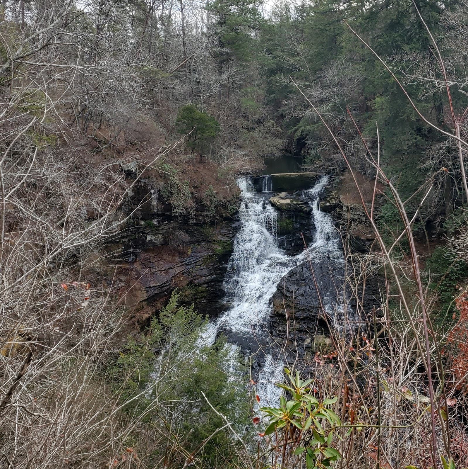 Pisgah Gorge Park - Image 1