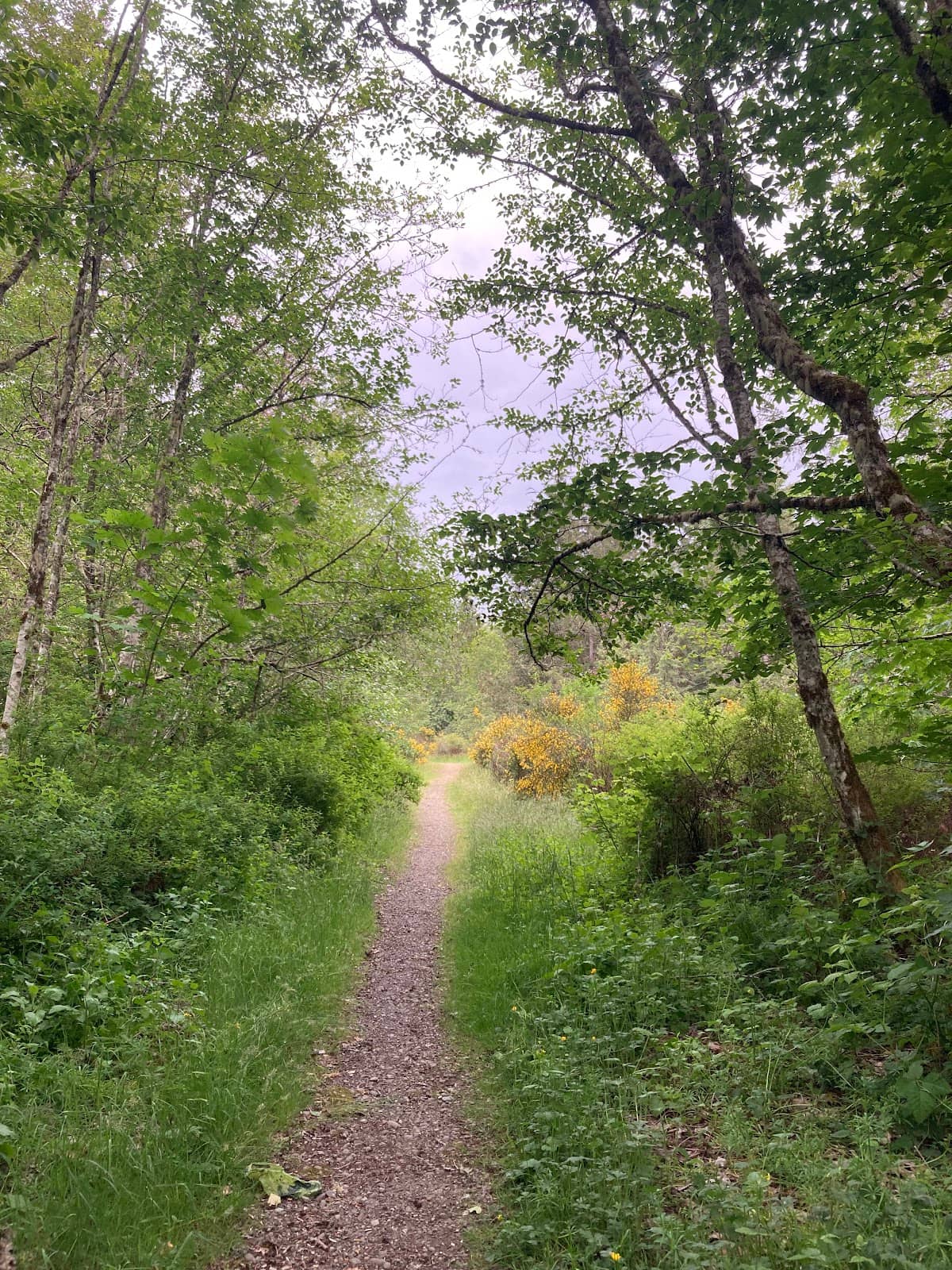 Meigs Park Boat Ramp