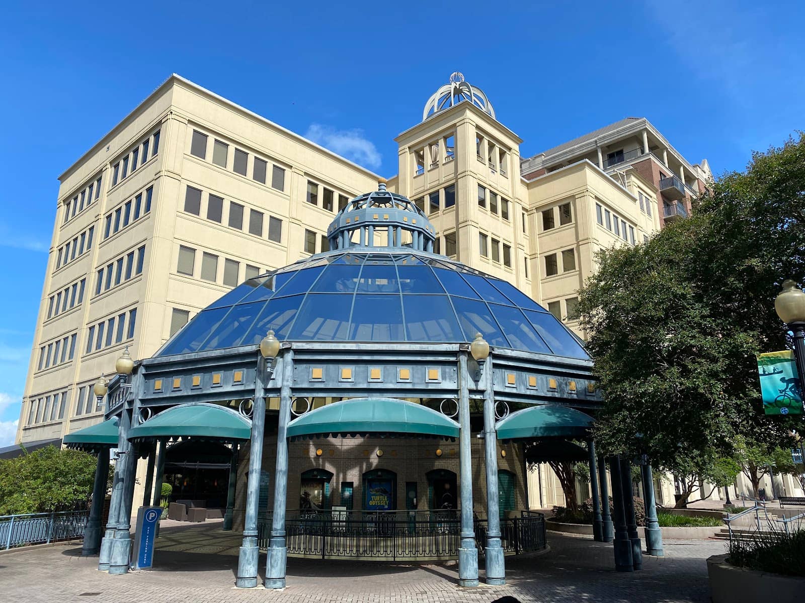 Public Art Installations