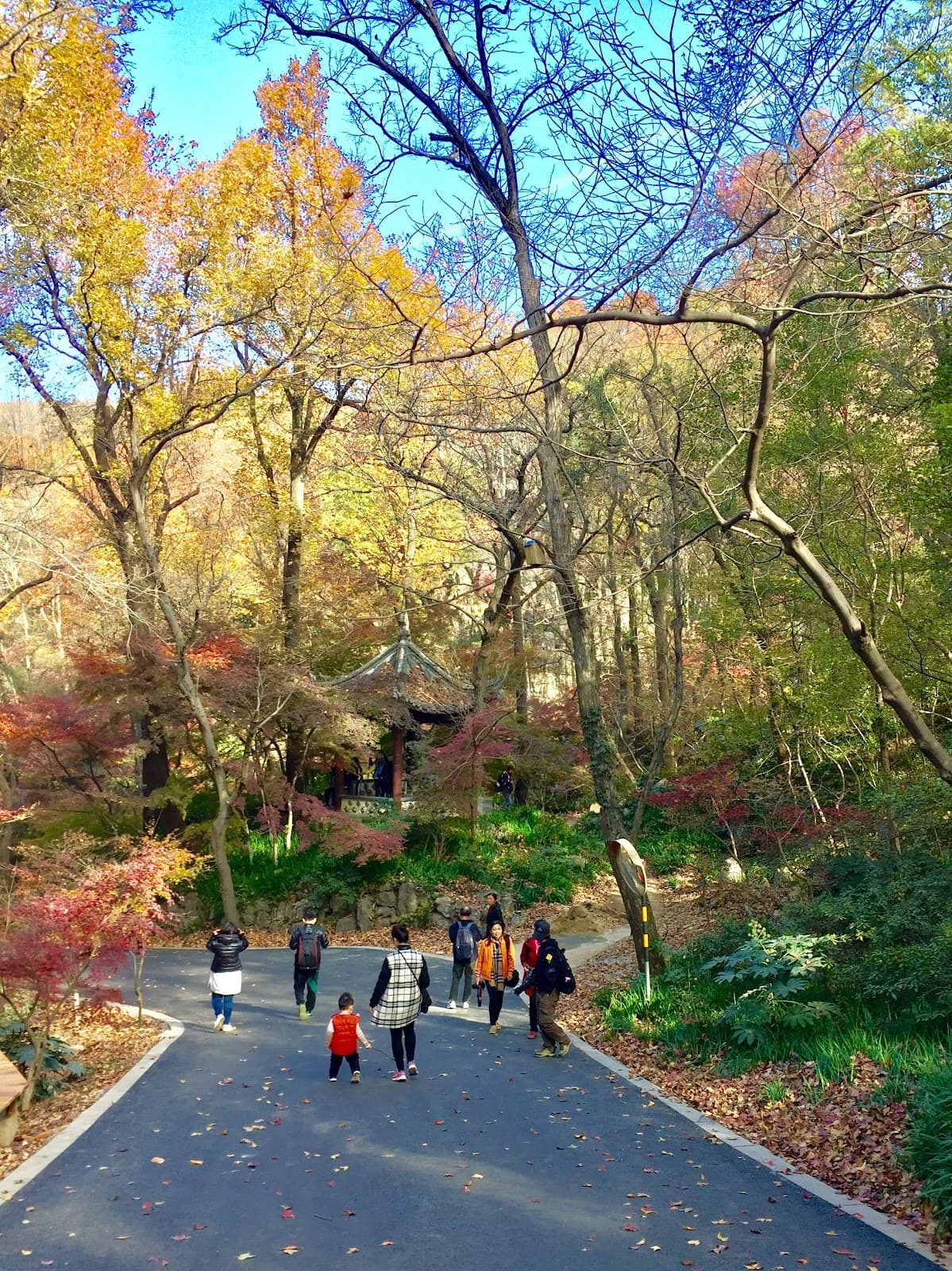 Qixia Mountain Nanjing - Image 1