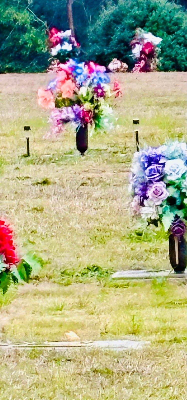 Pine Hill Cemetery - Image 1