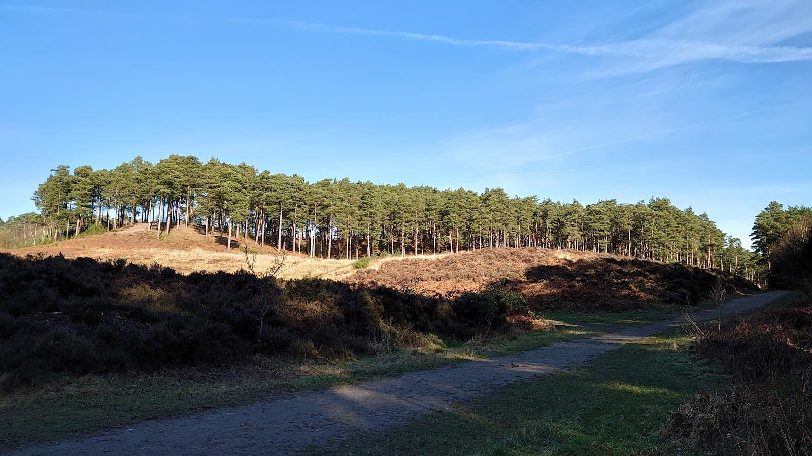 Bourne Woods Massachusetts - Image 1