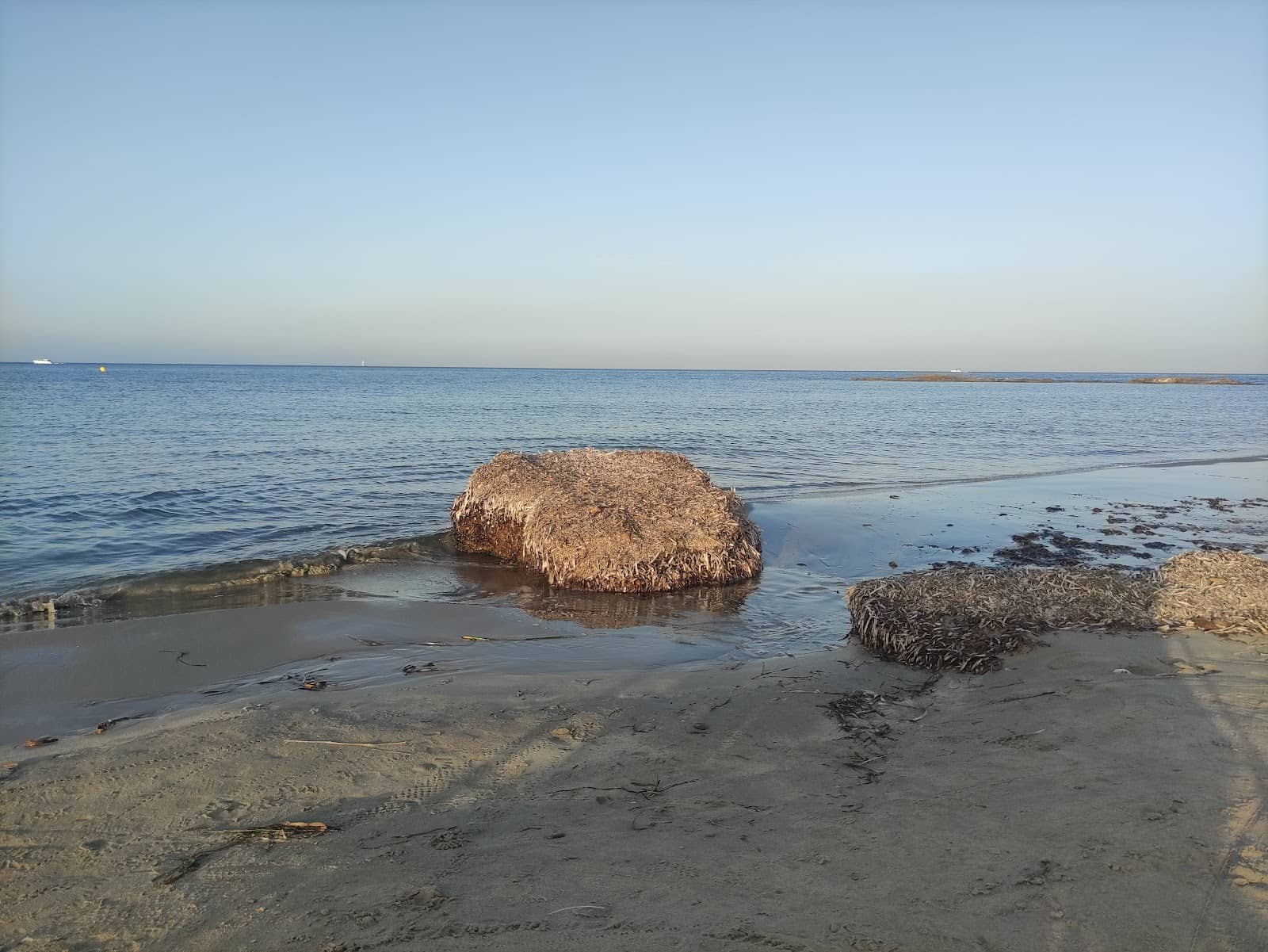Coastal Walk