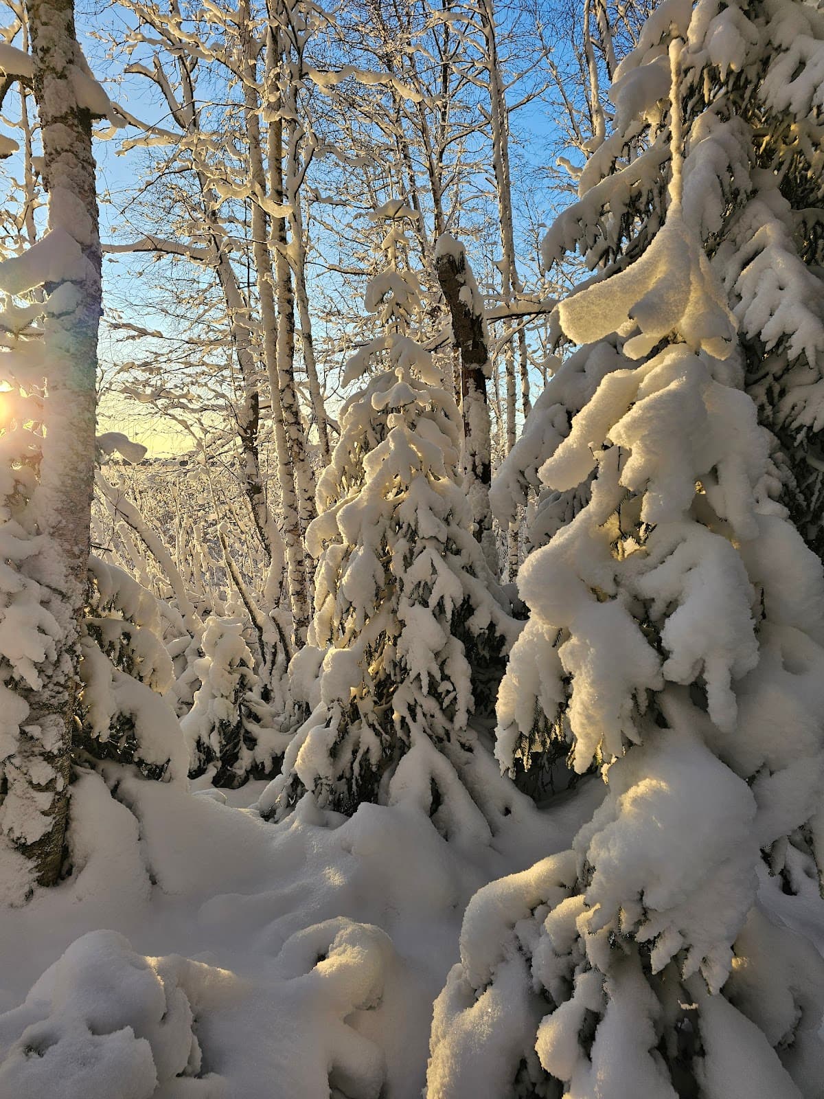 Gammelstadsviken Nature Reserve - Image 1