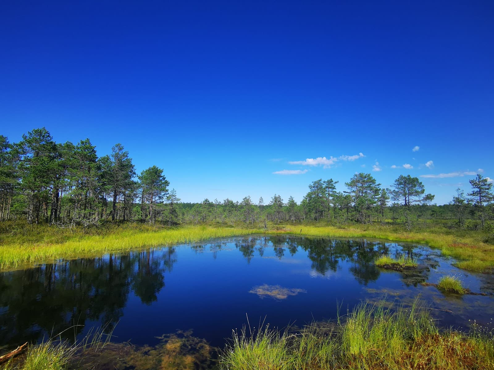 Lahemaa National Park - Image 1