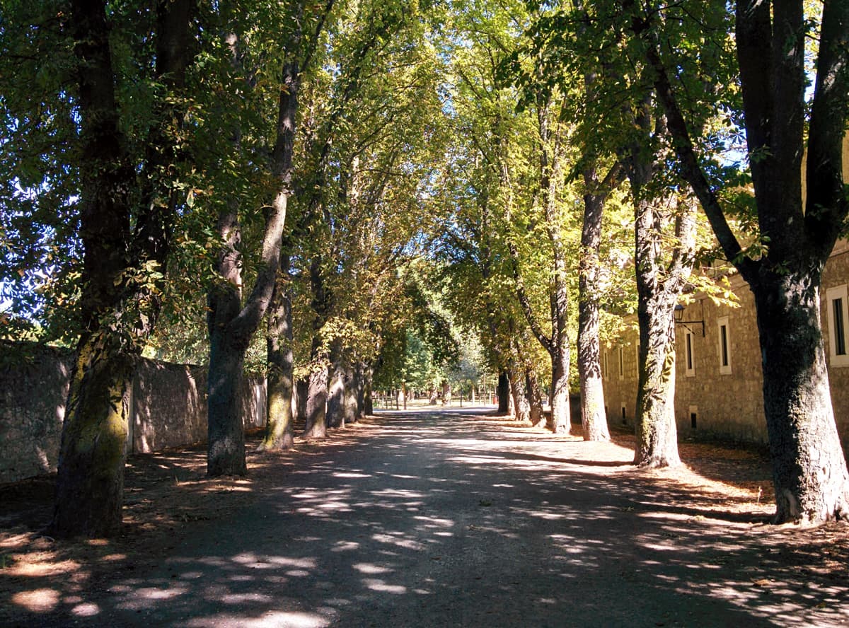 El Parral Park - Image 1