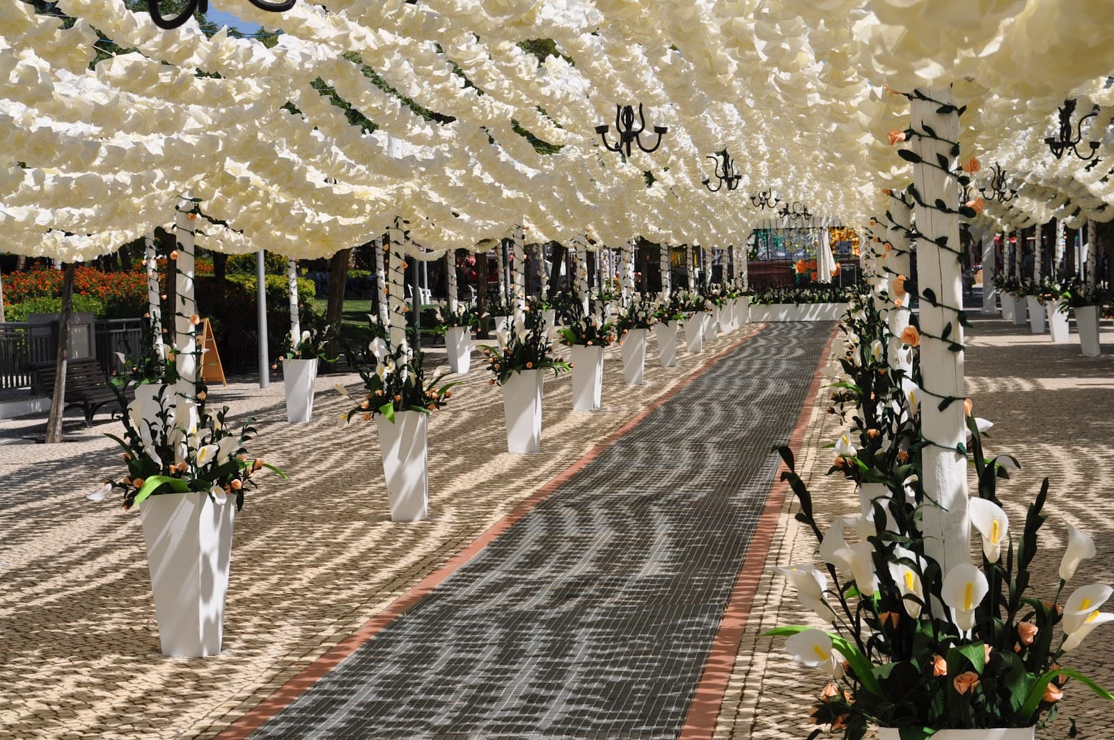 Jardim Municipal de Campo Maior - Image 1