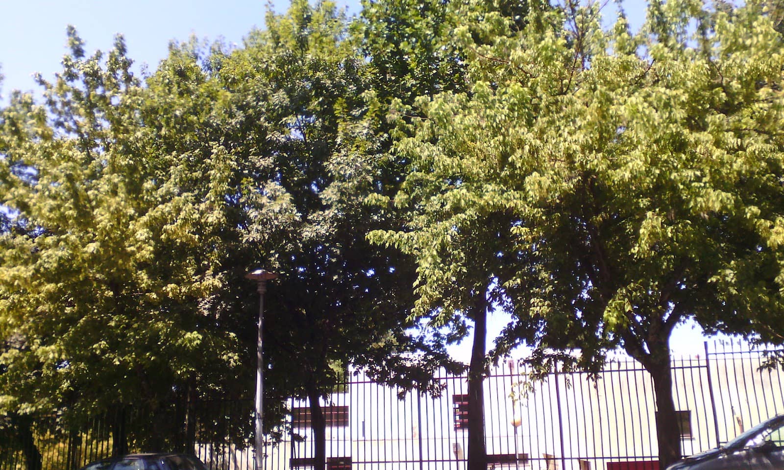 Vertical photo