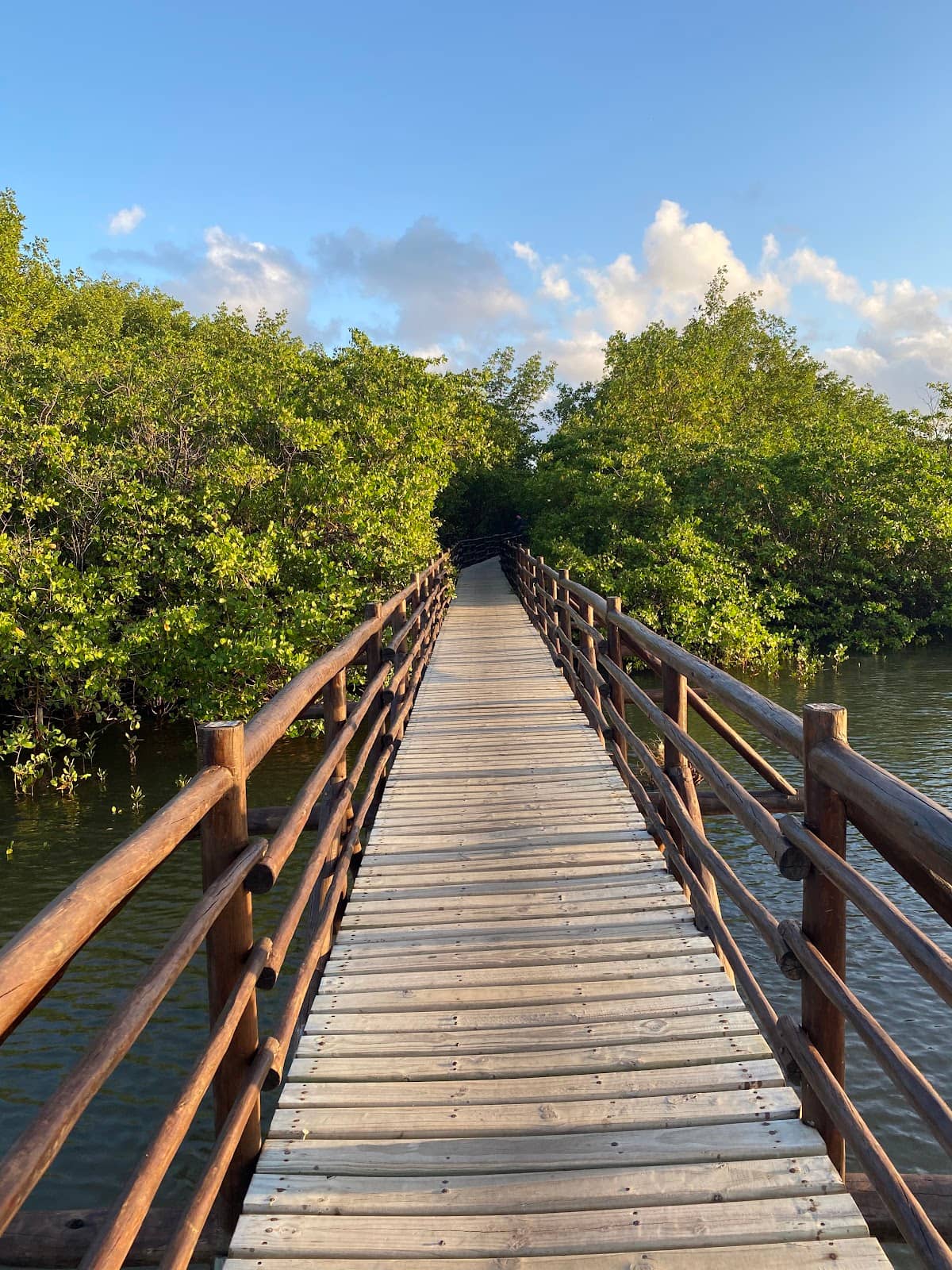 Sunset at the Tatuamunha Bridge