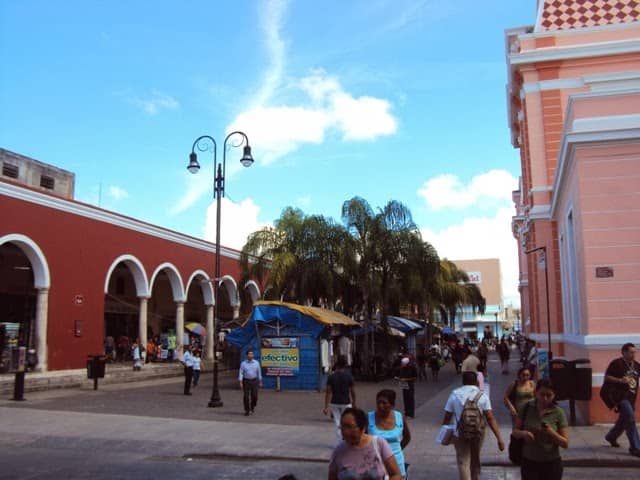 Vertical photo