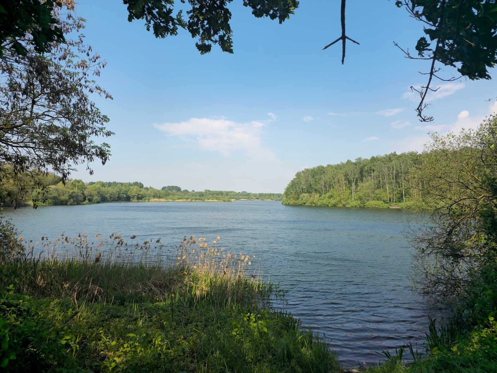 Scarpe–Escaut Regional Natural Park - Image 1