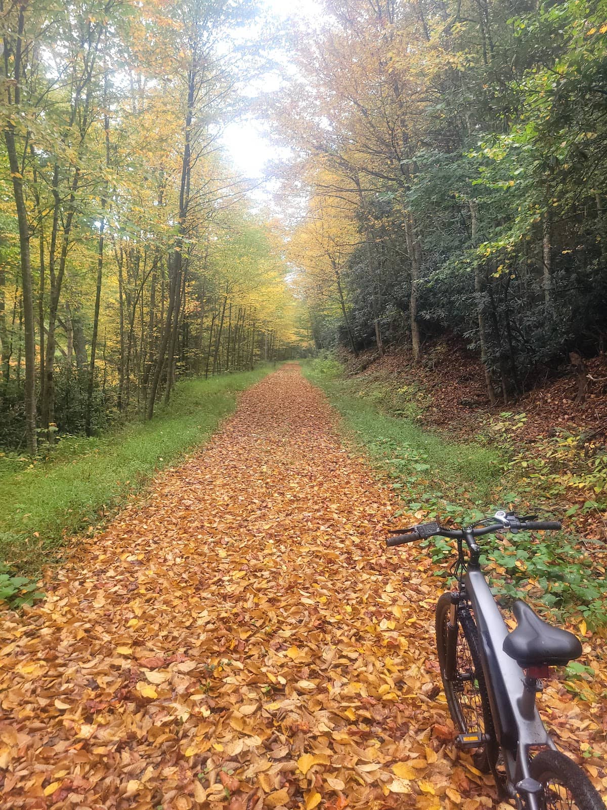 Historic Railroad Grade