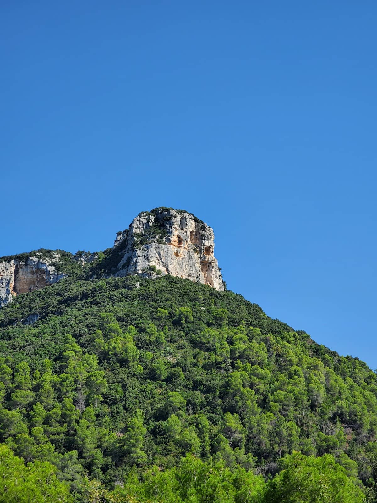 Rocca degli Uccelli