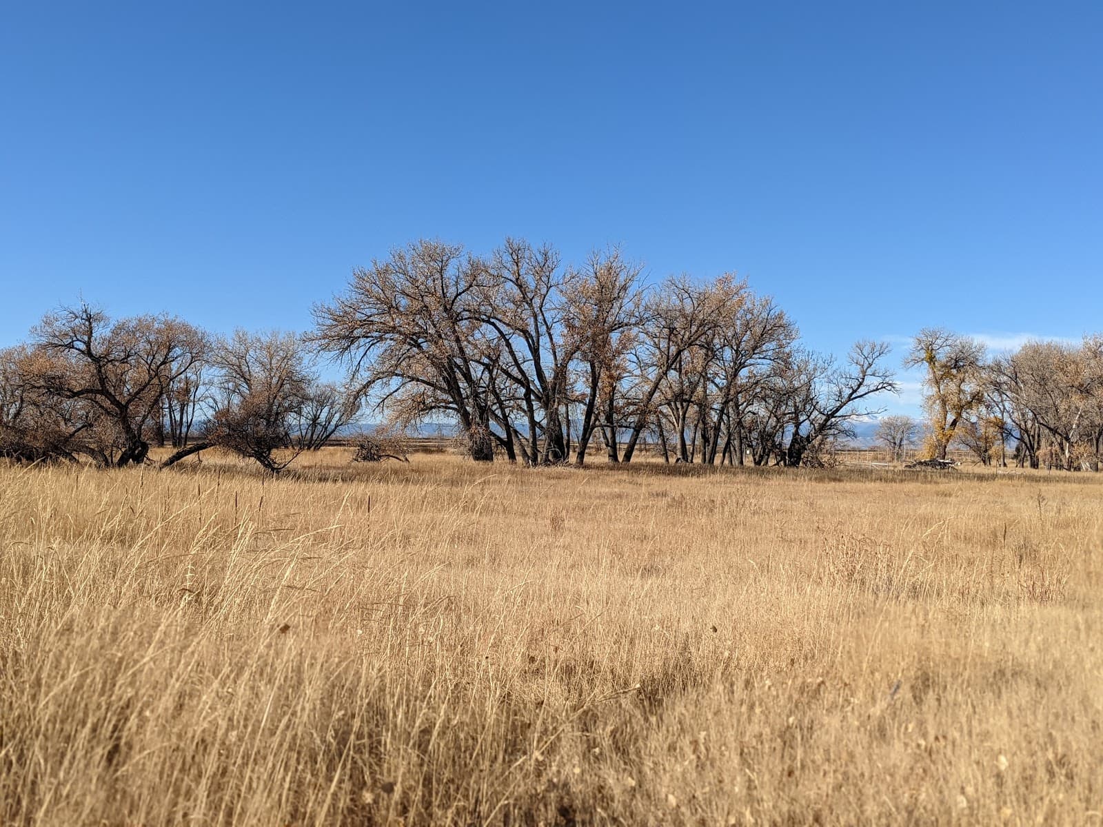 First Creek at DEN Open Space - Image 1